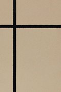 平面砂壁漆ZGQ102